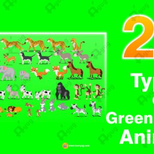 22 Types Green Screen Animated Animal Characters