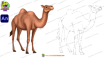 Camel ( ऊंट oont ) Cartoon Character - Image 5