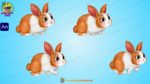 Rabbit ( खरगोश kharagosh ) Cartoon Character
